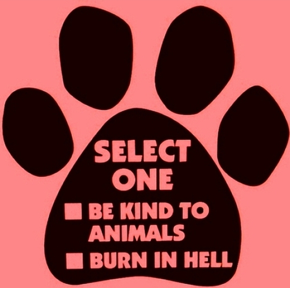 Thank You For Supporting My Small Biz - Picture 16 of 16